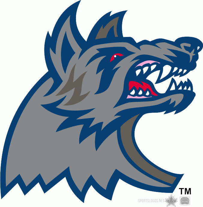 Hartford Wolf Pack 1999 00 Alternate Logo iron on transfers for T-shirts